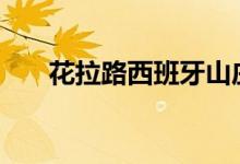  花拉路西班牙山庄集售 要价8.82亿元 