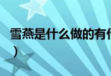 雪燕是什么做的有什么功效（雪燕是什么做的）