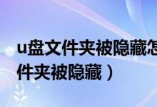 u盘文件夹被隐藏怎么恢复正常win7（u盘文件夹被隐藏）