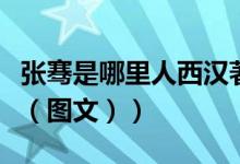 张骞是哪里人西汉著名外交家（张骞是哪里人（图文））