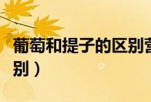 葡萄和提子的区别营养功效（葡萄和提子的区别）