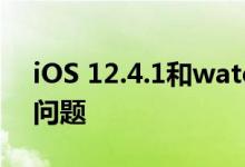 iOS 12.4.1和watchOS 5.3.1用于解决安全问题 