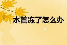 水管冻了怎么办（水管冻住了怎么办）