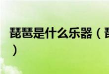 琵琶是什么乐器（琵琶是我国传统的什么乐器）