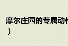 摩尔庄园的专属动作在哪（摩尔庄园动作在哪）