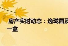  房产实时动态：逸珑园及逸珑海滙买家 可获鱼菜共生系统一盆 