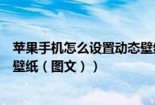 苹果手机怎么设置动态壁纸免按压（苹果手机怎么设置动态壁纸（图文））