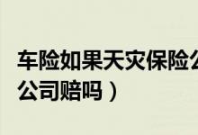 车险如果天灾保险公司理赔吗（天灾车险保险公司赔吗）