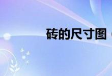 砖的尺寸图（砖的尺寸标准）