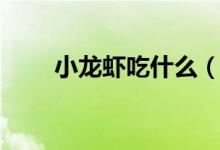 小龙虾吃什么（小龙虾以什么为食）