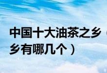 中国十大油茶之乡（中国油茶产区中国油茶之乡有哪几个）