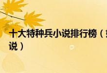 十大特种兵小说排行榜（好看的特种兵小说关于特种兵的小说）