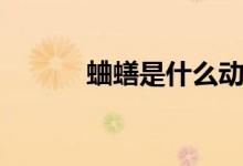 蛐蟮是什么动物（蛐蟮是什么）