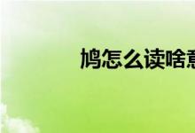 鸠怎么读啥意思（鸠怎么读）