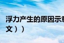 浮力产生的原因示意图（浮力产生的原因（图文））