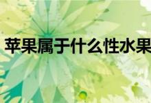 苹果属于什么性水果（苹果属于温性水果吗）