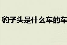 豹子头是什么车的车标（豹子头是什么意思）