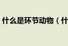 什么是环节动物（什么是环节动物（图文））