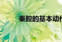 秦腔的基本动作（秦腔的特点有）