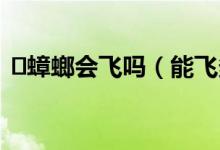 ​蟑螂会飞吗（能飞多高及蟑螂是不是会飞）