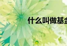 什么叫做基金（基金是什么）