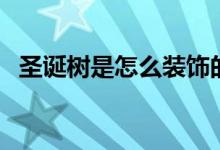圣诞树是怎么装饰的（圣诞树是怎么来的）