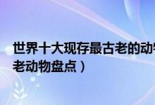 世界十大现存最古老的动物（地球上现存的原始动物现存古老动物盘点）
