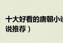 十大好看的唐朝小说（穿唐小说排行榜唐穿小说推荐）