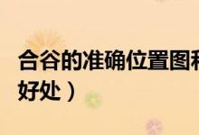 合谷的准确位置图和作用（日常按摩合谷穴的好处）