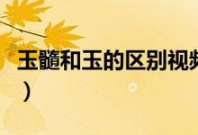 玉髓和玉的区别视频（玉髓和玉的区别是什么）