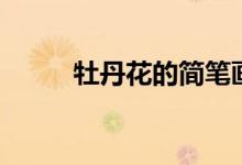 牡丹花的简笔画（牡丹花的特点）