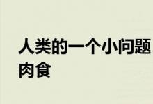 人类的一个小问题：3D打印机在太空中制造肉食 