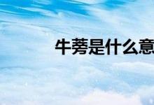 牛蒡是什么意思（牛蒡是什么）