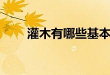 灌木有哪些基本知识（灌木有哪些）