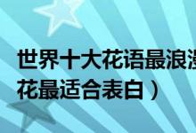 世界十大花语最浪漫的花（什么花最浪漫这些花最适合表白）