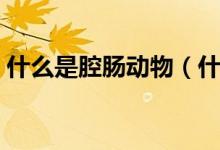 什么是腔肠动物（什么是腔肠动物（图文））