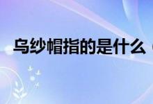 乌纱帽指的是什么（乌纱帽暗指什么意思）
