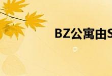 BZ公寓由StudioDO设计 