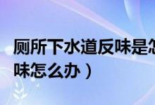 厕所下水道反味是怎么处理的（厕所下水道反味怎么办）