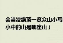 会当凌绝顶一览众山小写的是哪座山（会当凌绝顶一览众山小中的山是哪座山）