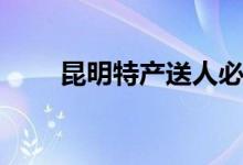 昆明特产送人必买清单（昆明特产）