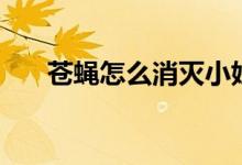 苍蝇怎么消灭小妙招（苍蝇怎么驱赶）