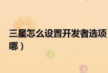 三星怎么设置开发者选项（三星手机设置里的开发者选项在哪）
