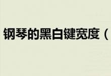 钢琴的黑白键宽度（钢琴的黑白键多少厘米）