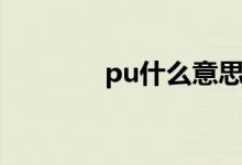 pu什么意思（pu什么意思）