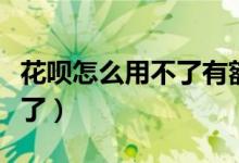 花呗怎么用不了有额度（花呗有额度怎么用不了）