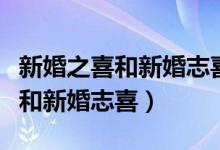 新婚之喜和新婚志喜的区别（什么是新婚之喜和新婚志喜）
