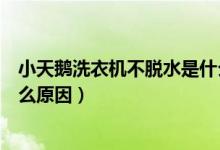 小天鹅洗衣机不脱水是什么故障（小天鹅洗衣机不脱水是什么原因）