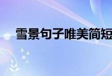 雪景句子唯美简短（赞美雪的简短句子）