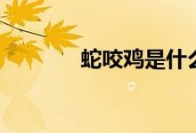 蛇咬鸡是什么菜式（蛇咬鸡）